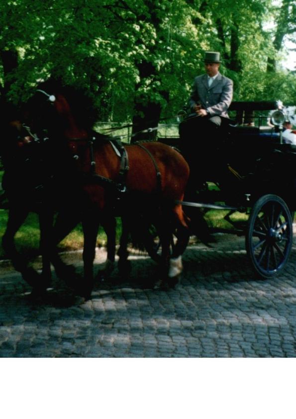 Pension Am Rheinsberger Schlosspark Bagian luar foto
